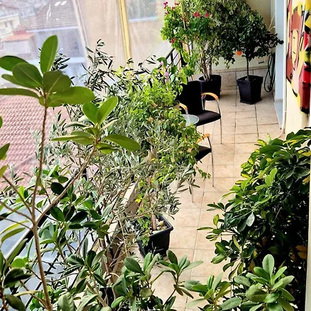 Sunshine Retreat Kardítsa